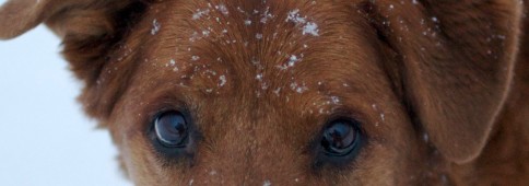 Mommy, What's IMAX?, part 1